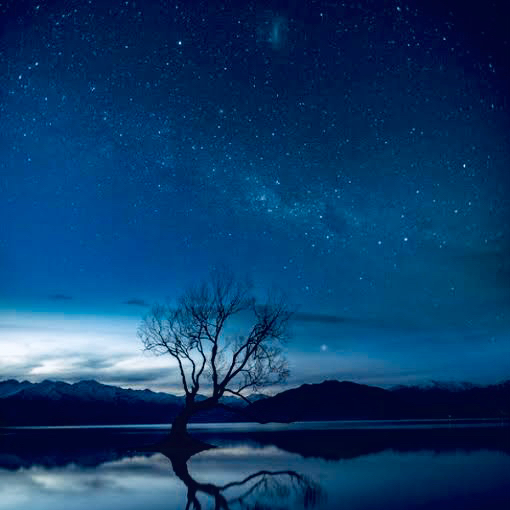 サウダージ カフカ